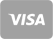 Visa Card